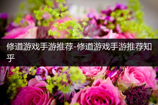 修道游戏手游推荐-修道游戏手游推荐知乎