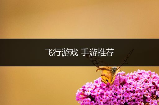 飞行游戏 手游推荐