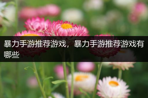 暴力手游推荐游戏，暴力手游推荐游戏有哪些
