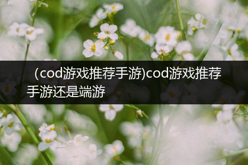 （cod游戏推荐手游)cod游戏推荐手游还是端游