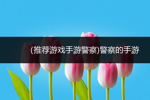 （推荐游戏手游警察)警察的手游