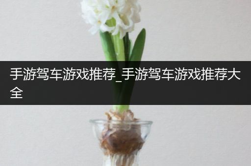 手游驾车游戏推荐_手游驾车游戏推荐大全