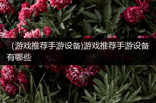 （游戏推荐手游设备)游戏推荐手游设备有哪些