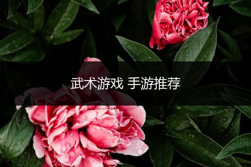 武术游戏 手游推荐