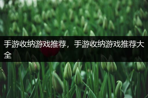 手游收纳游戏推荐，手游收纳游戏推荐大全