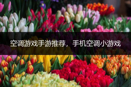 空调游戏手游推荐，手机空调小游戏