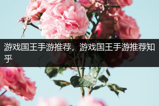 游戏国王手游推荐，游戏国王手游推荐知乎