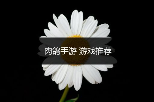 肉鸽手游 游戏推荐
