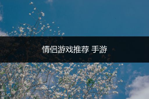 情侣游戏推荐 手游