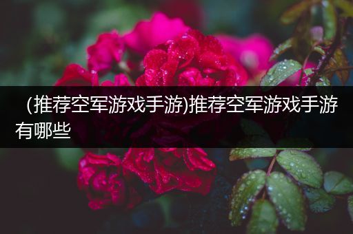 （推荐空军游戏手游)推荐空军游戏手游有哪些