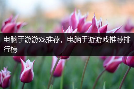 电脑手游游戏推荐，电脑手游游戏推荐排行榜