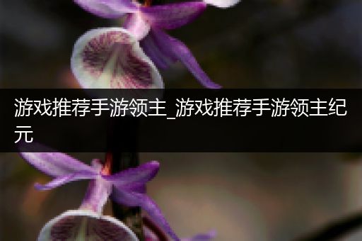 游戏推荐手游领主_游戏推荐手游领主纪元