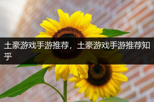 土豪游戏手游推荐，土豪游戏手游推荐知乎