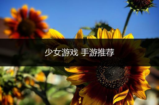 少女游戏 手游推荐