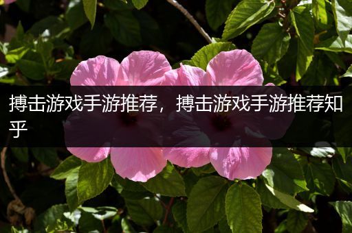 搏击游戏手游推荐，搏击游戏手游推荐知乎