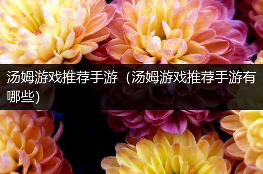 汤姆游戏推荐手游（汤姆游戏推荐手游有哪些）