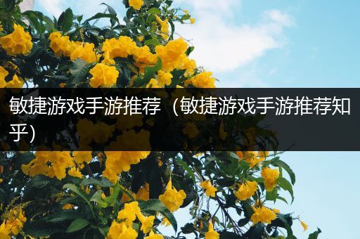 敏捷游戏手游推荐（敏捷游戏手游推荐知乎）