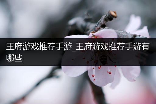王府游戏推荐手游_王府游戏推荐手游有哪些