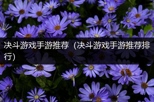 决斗游戏手游推荐（决斗游戏手游推荐排行）