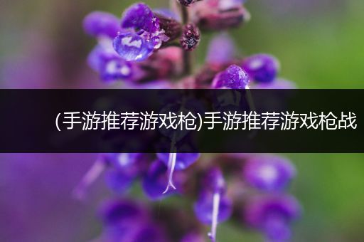 （手游推荐游戏枪)手游推荐游戏枪战