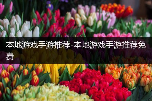 本地游戏手游推荐-本地游戏手游推荐免费