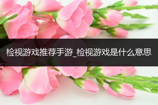 检视游戏推荐手游_检视游戏是什么意思