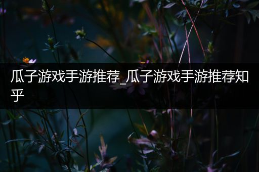 瓜子游戏手游推荐_瓜子游戏手游推荐知乎