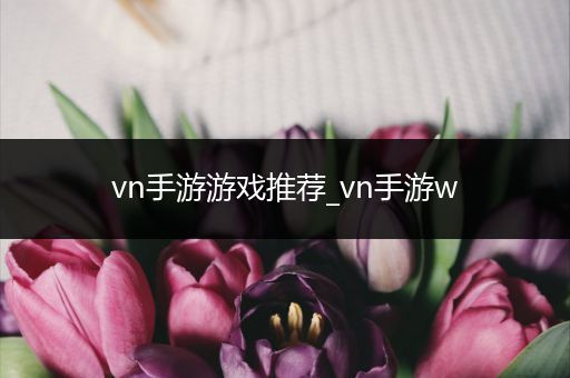 vn手游游戏推荐_vn手游w