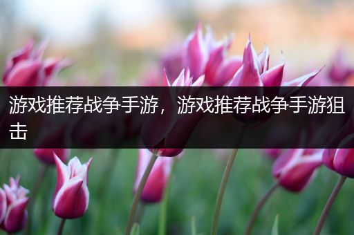 游戏推荐战争手游，游戏推荐战争手游狙击