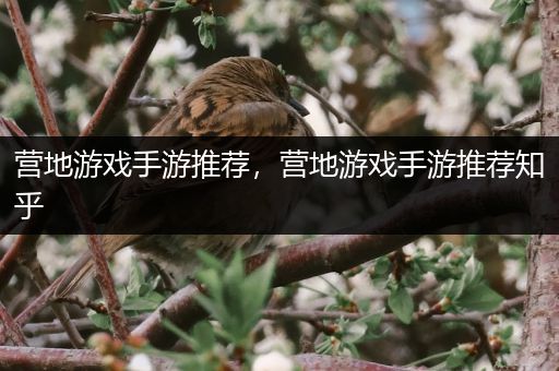 营地游戏手游推荐，营地游戏手游推荐知乎