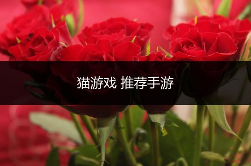 猫游戏 推荐手游