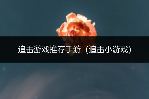 追击游戏推荐手游（追击小游戏）