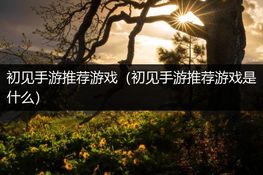 初见手游推荐游戏（初见手游推荐游戏是什么）