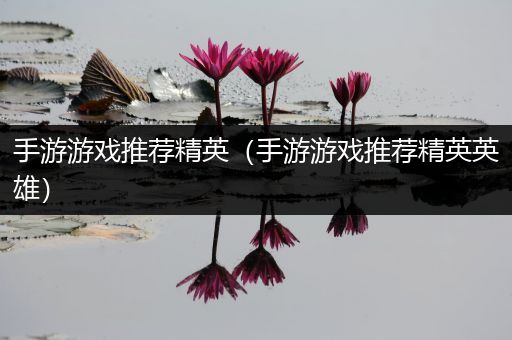 手游游戏推荐精英（手游游戏推荐精英英雄）