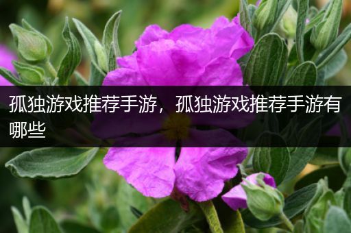 孤独游戏推荐手游，孤独游戏推荐手游有哪些