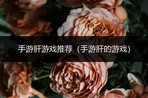 手游肝游戏推荐（手游肝的游戏）