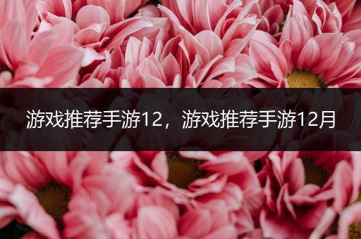 游戏推荐手游12，游戏推荐手游12月