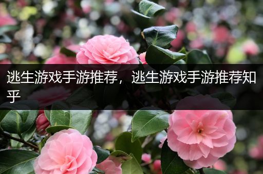 逃生游戏手游推荐，逃生游戏手游推荐知乎