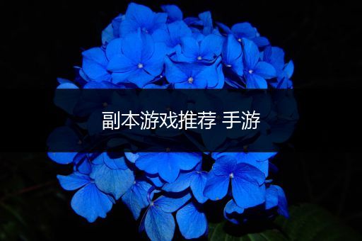 副本游戏推荐 手游