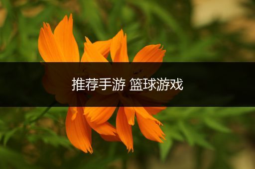 推荐手游 篮球游戏