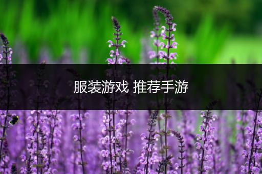 服装游戏 推荐手游
