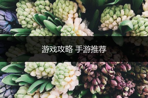 游戏攻略 手游推荐