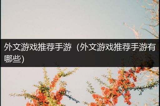 外文游戏推荐手游（外文游戏推荐手游有哪些）