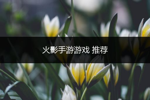 火影手游游戏 推荐