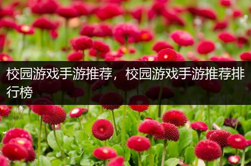 校园游戏手游推荐，校园游戏手游推荐排行榜