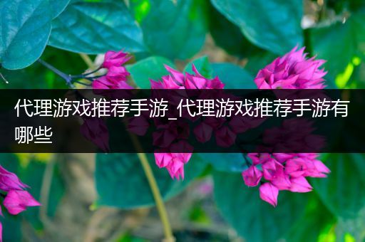代理游戏推荐手游_代理游戏推荐手游有哪些