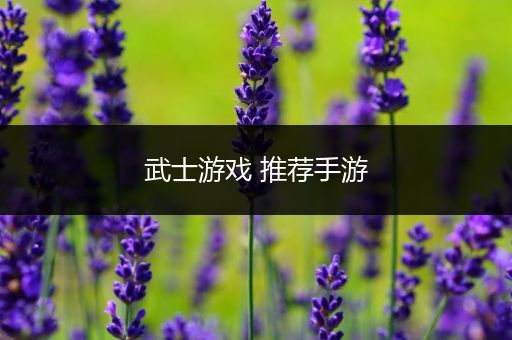 武士游戏 推荐手游