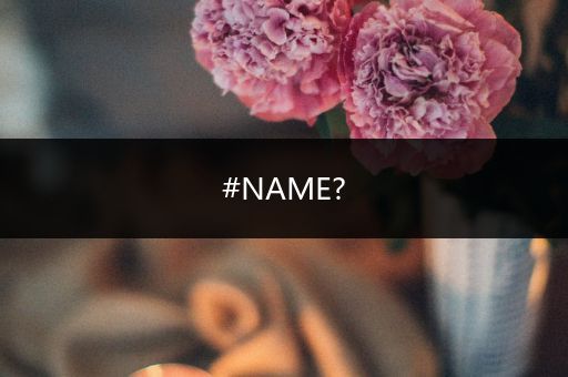 #NAME?