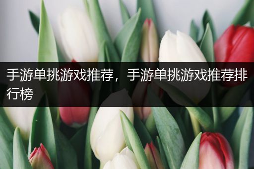 手游单挑游戏推荐，手游单挑游戏推荐排行榜