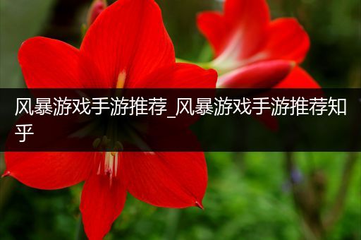 风暴游戏手游推荐_风暴游戏手游推荐知乎